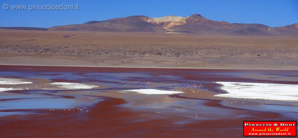 BOLIVIA 2 - Laguna Colorada - 01.jpg